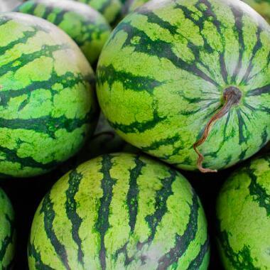 海宁最新吃瓜事件,真相揭秘引网友热议