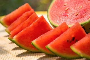 郑州财经吃瓜在线,揭秘“吃瓜在线”背后的热点与真相