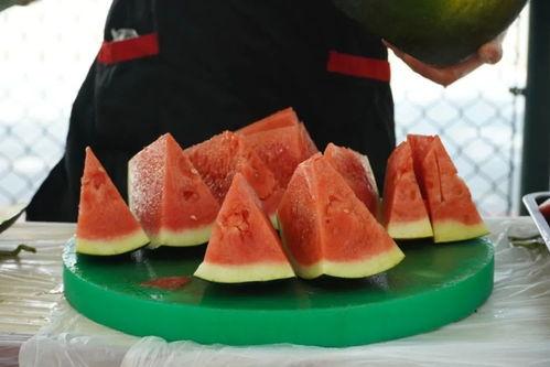 云南职业技术学院吃瓜,校园“吃瓜”事件背后的校园生活点滴