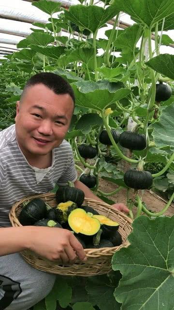 景色甜美吃瓜视频,跟随吃瓜视频探索绝美景色