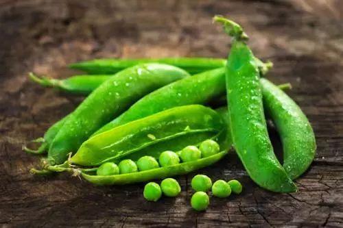 有瓜吃瓜有豆,共享丰收喜悦