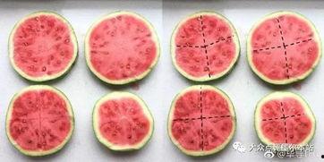 吃瓜软件吃瓜,吃瓜软件带你领略明星幕后故事