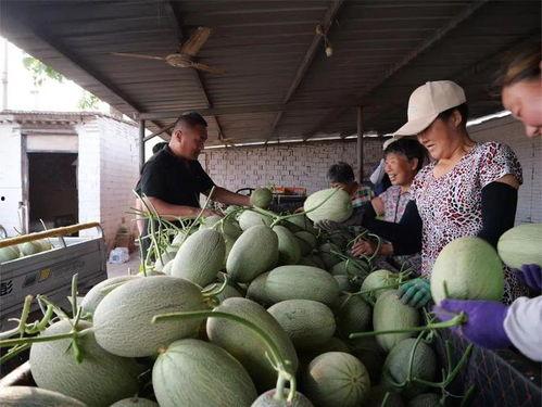 你们都去哪吃瓜,我们一起去哪吃瓜？