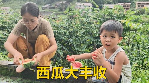 老嫂子吃瓜现场,趣味横生的乡村生活瞬间