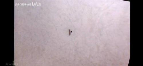 韩国室温超导吃瓜,揭秘神秘“吃瓜”现象背后的科学奇迹