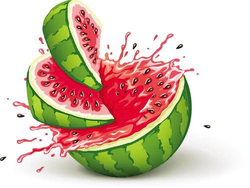 送瓜给小孩吃,传递爱心与童趣的甜蜜时光