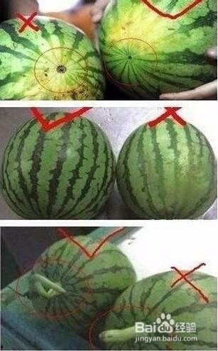 怎么挑选吃瓜,如何挑选新鲜美味吃瓜攻略