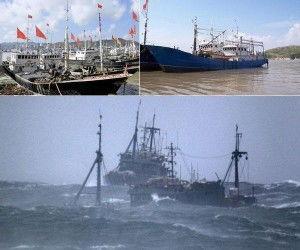 浙江吃瓜渔船事件始末,一场意外引发的舆论风暴