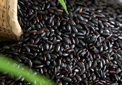 51黑瓜吃料,揭秘美食背后的故事与魅力