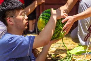 椰贵妃吃瓜,一场甜蜜的瓜果盛宴