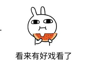 例行吃瓜,跟随瓜界潮流，揭秘娱乐圈新鲜事