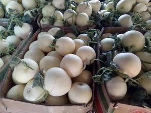 五瓜毛桃怎么吃,解锁健康美味新体验