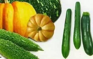 夏吃瓜图片大全,夏吃瓜图片大全赏鉴